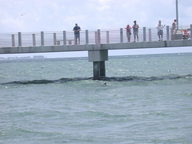 dscn3110_thumb.jpg