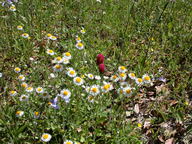 dscn2120_thumb.jpg