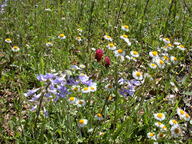 dscn2121_thumb.jpg