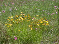 dscn2125_thumb.jpg