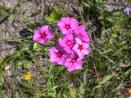 dscn2126_thumb.jpg