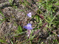 dscn2131_thumb.jpg