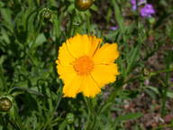 dscn2132_thumb.jpg
