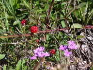 dscn2135_thumb.jpg