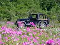 dscn2142_thumb.jpg