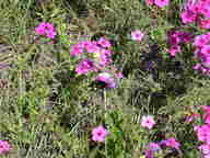 dscn2143_thumb.jpg