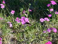 dscn2144_thumb.jpg