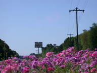 dscn2145_thumb.jpg