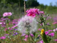 dscn2146_thumb.jpg