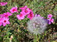 dscn2147_thumb.jpg