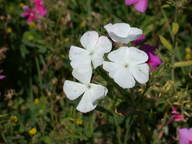 dscn2148_thumb.jpg