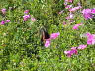 dscn2149_thumb.jpg