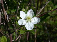 dscn2150_thumb.jpg