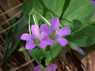 dscn2153_thumb.jpg