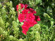 dscn2155_thumb.jpg