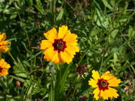 dscn2157_thumb.jpg