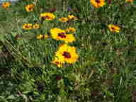 dscn2158_thumb.jpg