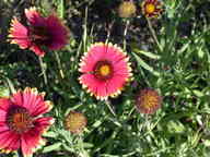 dscn2161_thumb.jpg