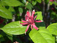 dscn2168_thumb.jpg