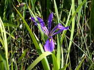 dscn2171_thumb.jpg