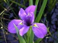 dscn2173_thumb.jpg