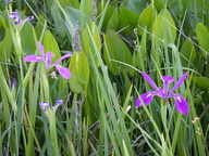 dscn2177_thumb.jpg