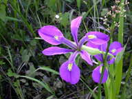 dscn2178_thumb.jpg