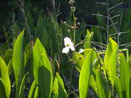 dscn2179_thumb.jpg