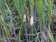 dscn2182_thumb.jpg