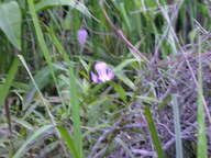 dscn2183_thumb.jpg