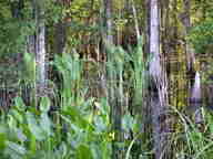 dscn2186_thumb.jpg