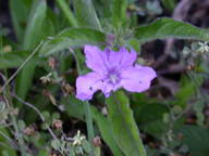 dscn2187_thumb.jpg
