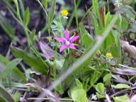 dscn2190_thumb.jpg