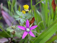 dscn2191_thumb.jpg