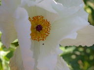 dscn2192_thumb.jpg