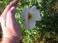 dscn2193_thumb.jpg