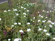 dscn2195_thumb.jpg