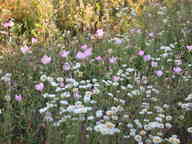 dscn2201_thumb.jpg