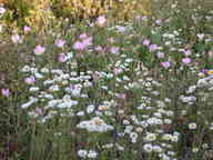 dscn2202_thumb.jpg