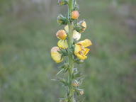 dscn2204_thumb.jpg