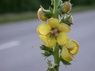dscn2205_thumb.jpg