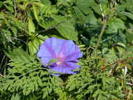 dscn2206_thumb.jpg