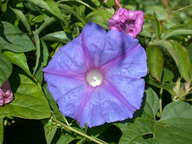 dscn2207_thumb.jpg