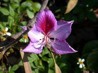 dscn2208_thumb.jpg