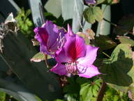 dscn2209_thumb.jpg
