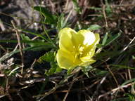 dscn2210_thumb.jpg