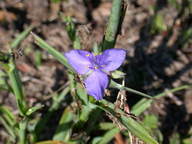 dscn2211_thumb.jpg