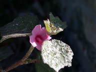 dscn2213_thumb.jpg