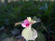 dscn2214_thumb.jpg