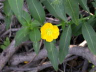 dscn2215_thumb.jpg
